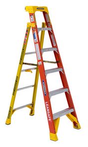 Werner Leansafe™ Ladder.